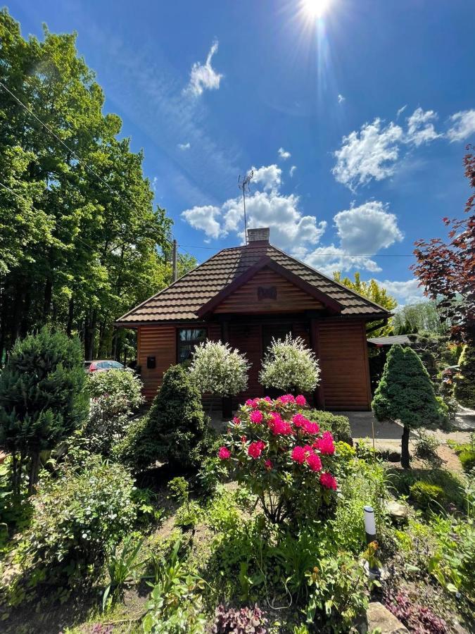 Zarzecze 27A Villa Augustów Eksteriør billede
